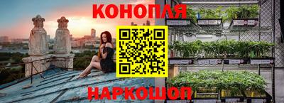 spice Бузулук