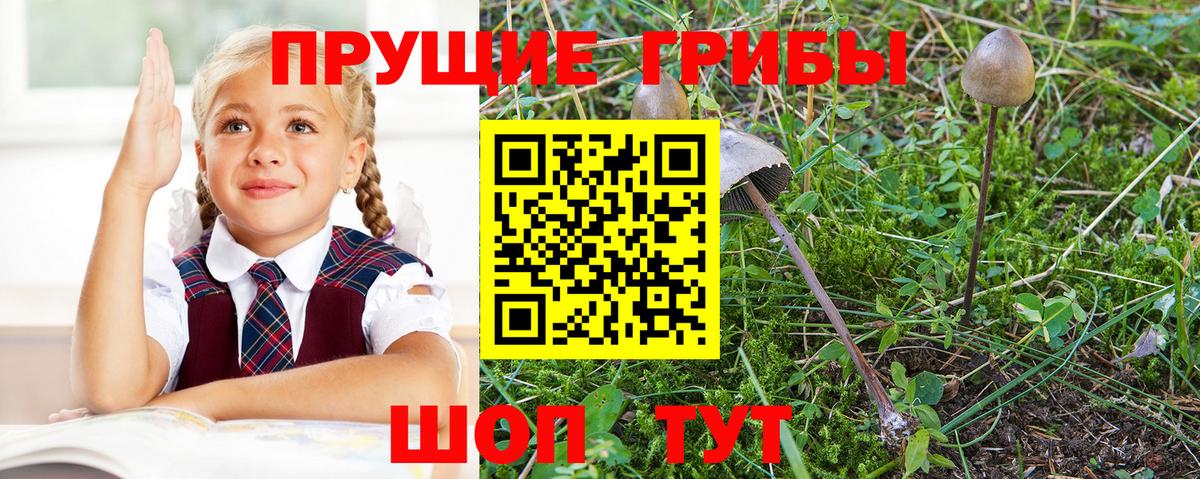 Полевской  магазин продажи наркотиков  Вход с VPN  Галлюциногенные грибы мухоморы 